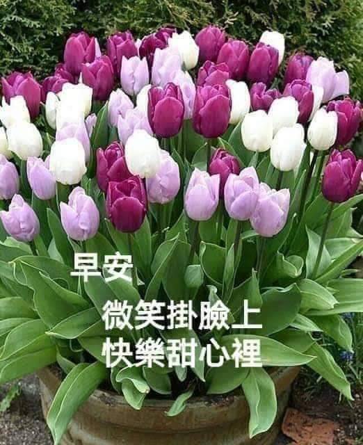按我可連結至更清楚的圖片